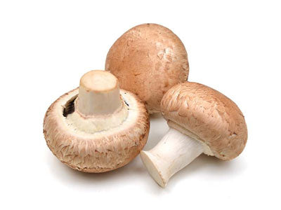 Organic Mushroom