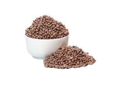 Buy Organic Lentil Whole (Masoor) At Orgpick